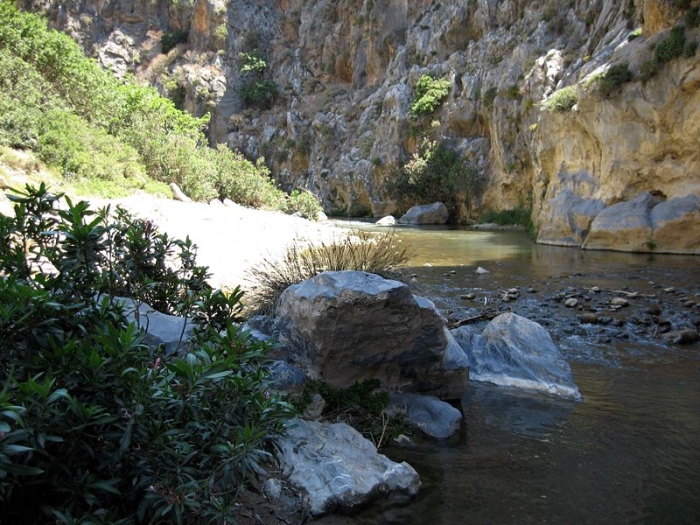 kreta_preveli_kourtaliotiko_schlucht_04_mittlerer_teil.jpg, 321kB