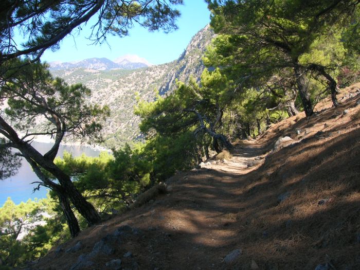 kreta_loutro_01_der_weg.jpg, 137kB