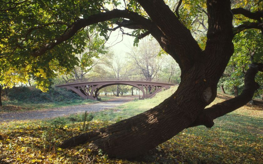 new-york_central_park_07_kl_bruecke.jpg, 117kB