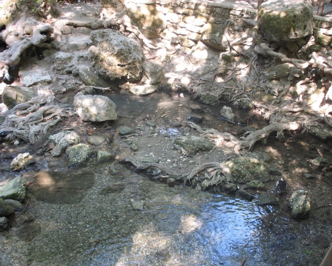 epta_piges_05_eine_der_quellen.jpg, 321kB